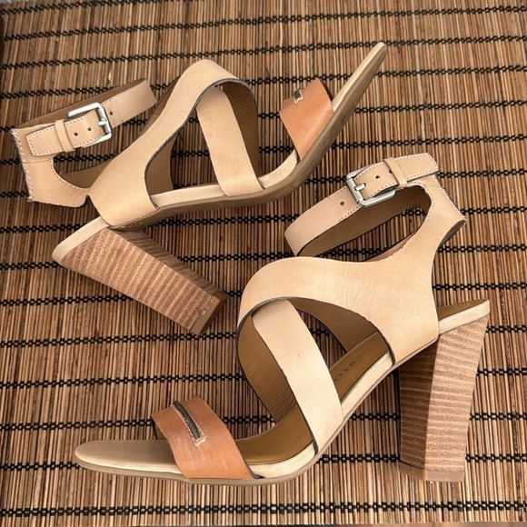 Franco Sarto junio sandal 6 - Picture 11 of 14